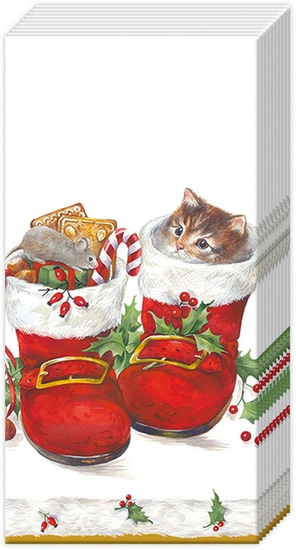 Boston Pocket Tissues