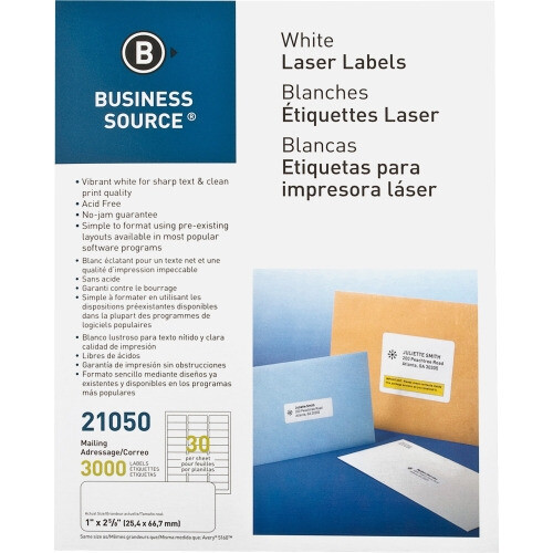 Business Source Address labels, 1&quot; x 2 5/8&quot;, white, 3000/pk