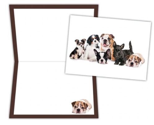 Crown Point Note Cards