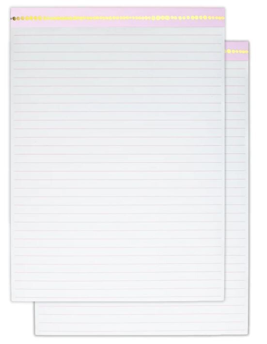 Steel Mill Lined Notepads