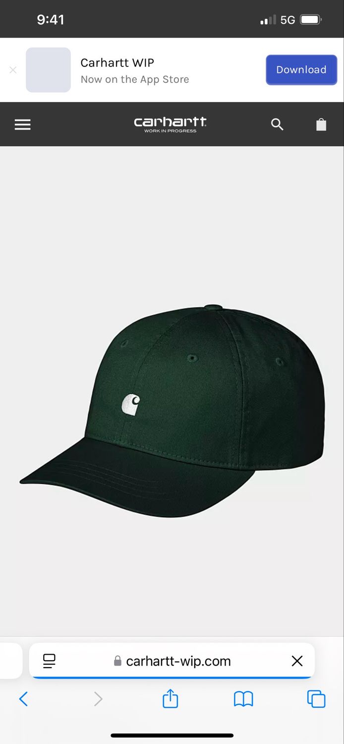 Gorra Carhartt WIP