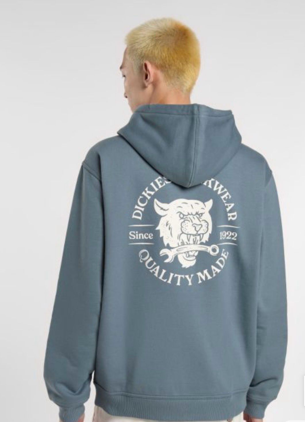 Sudadera Dickies