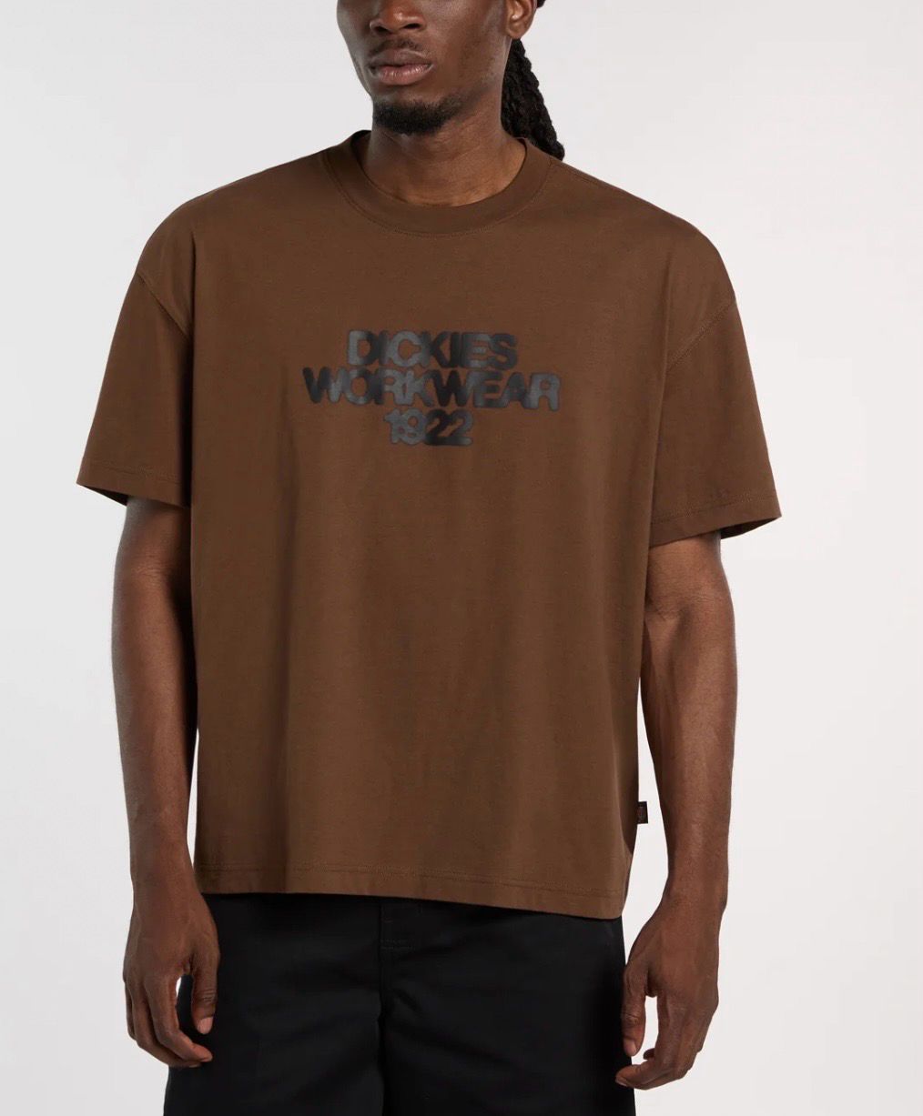 Camiseta Dickies
