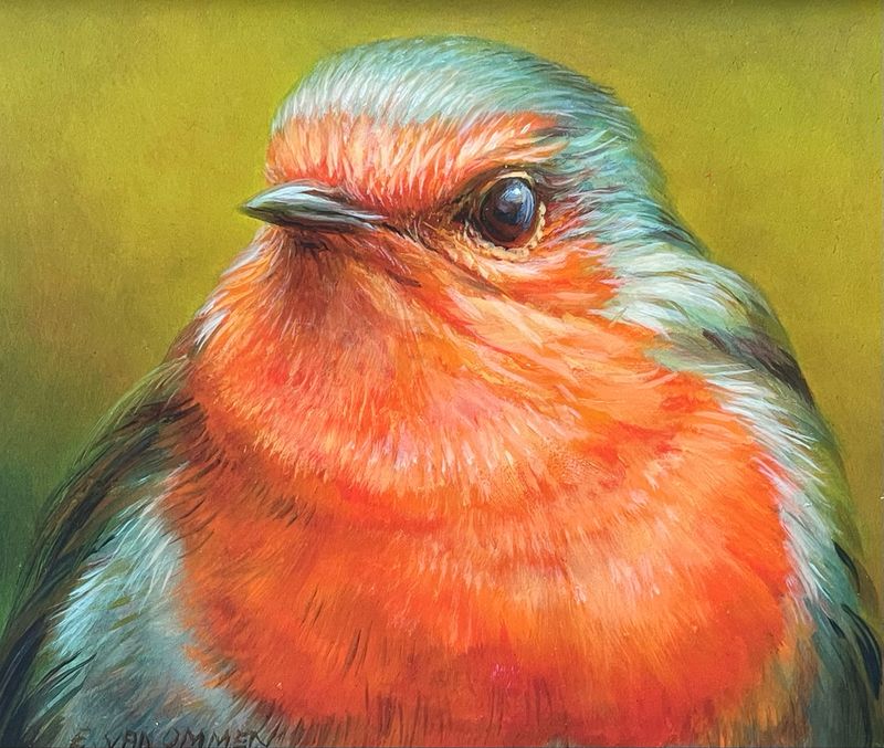 Rouge-gorge (E. van Ommen)