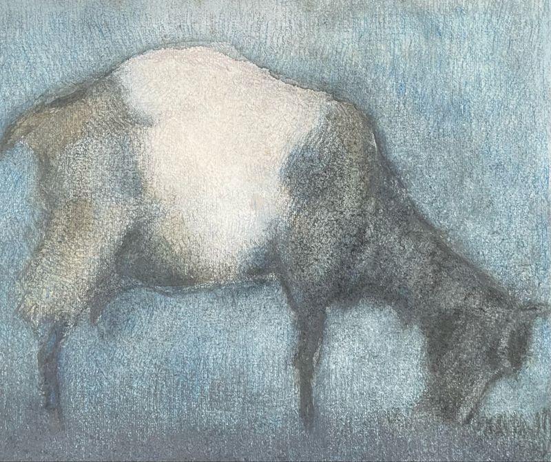 Chèvre (P. Knorr)