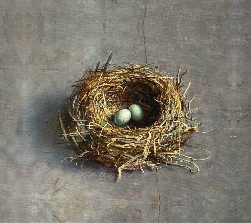 Nid d'oiseau (Helmantel) Nid d'oiseau (Helmantel)