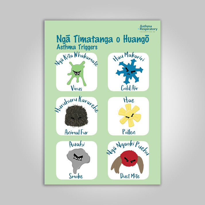 Asthma Triggers Poster (Te Reo English) A3 Poster - 1 Unit