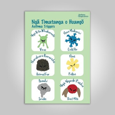 Asthma Triggers Poster (Te Reo English) A3 Poster - 1 Unit