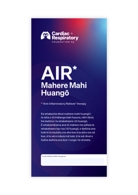 AIR Asthma Action Plan (Te Reo Māori) - 10 Pack