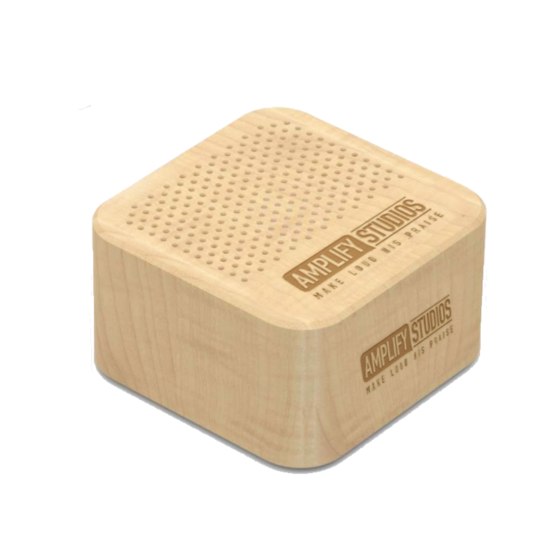Amplify LIMITED EDITION Bluetooth Speaker