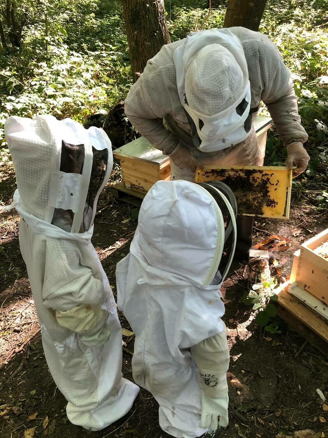 Beekeeping Experience - Full Apiary Inspection