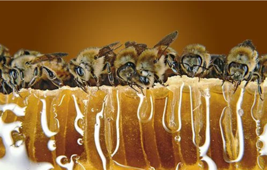 RAW Suffolk Honey