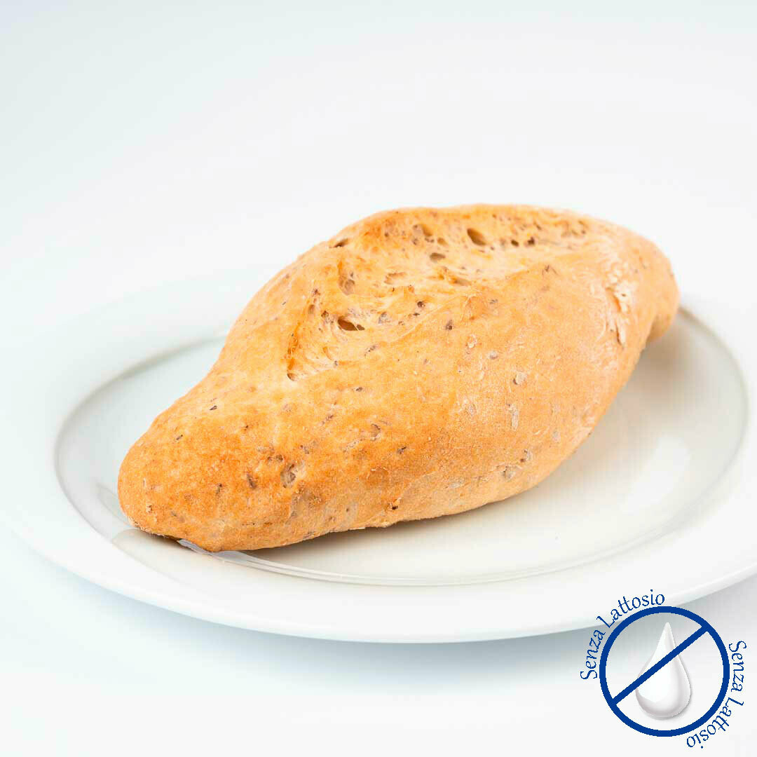 Majn Pane Integrale