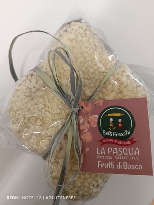 Belli Freschi Colomba ai Frutti di Bosco