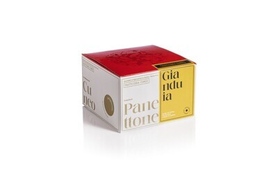 Pasticceria Cuneo Panettone Farcito con crema Gianduia