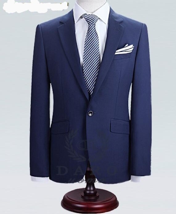 Navy Blue Plain Suit