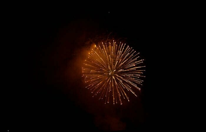 The Professional Display in your Garden Bundle