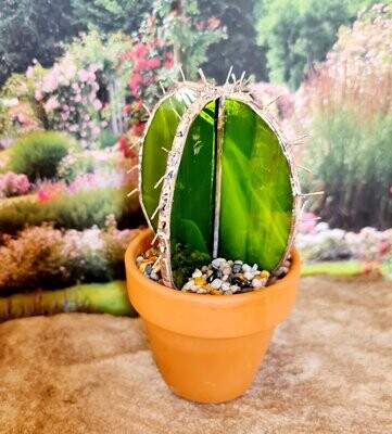 Kaktus mit Topf mit Stacheln (Schwiegermutterstuhl) ca. 7 x11cm