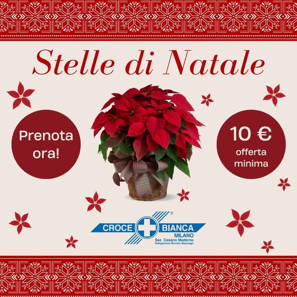 STELLA DI NATALE - Ritiro 8 Dicembre fino ad esaurimento