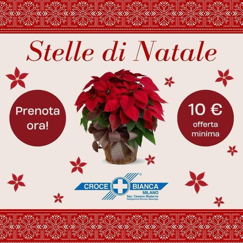 STELLA DI NATALE - Ritiro 8 Dicembre fino ad esaurimento