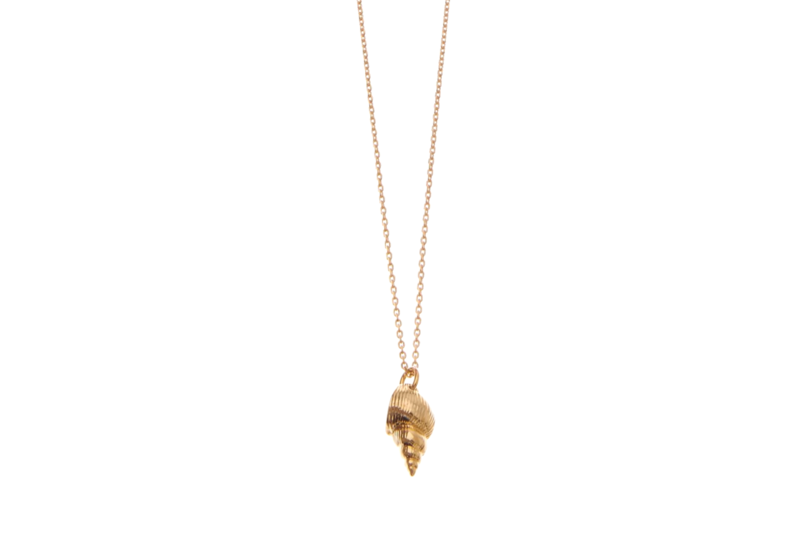 Goldkette Muschel