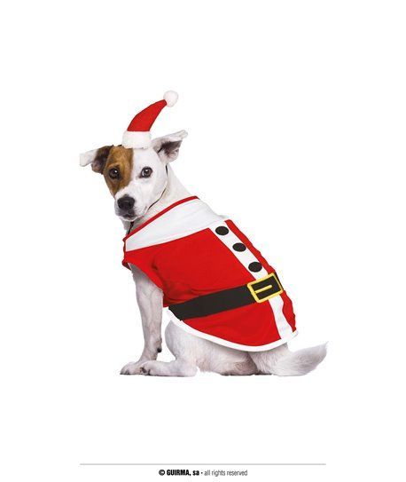 SANTA DOG, MASCOTA