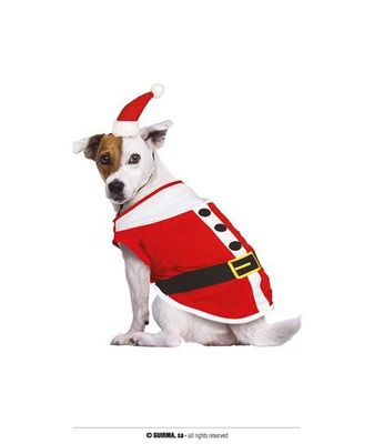 SANTA DOG, MASCOTA
