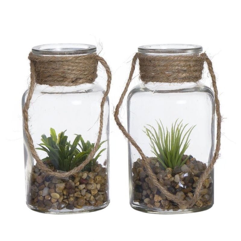 CACTUS EN FRASCO CRISTAL