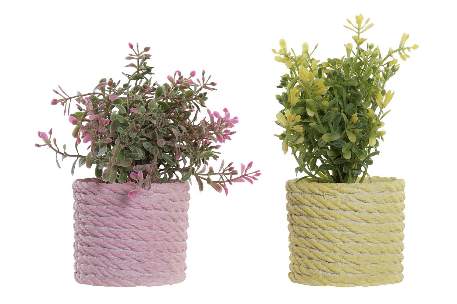 PLANTA