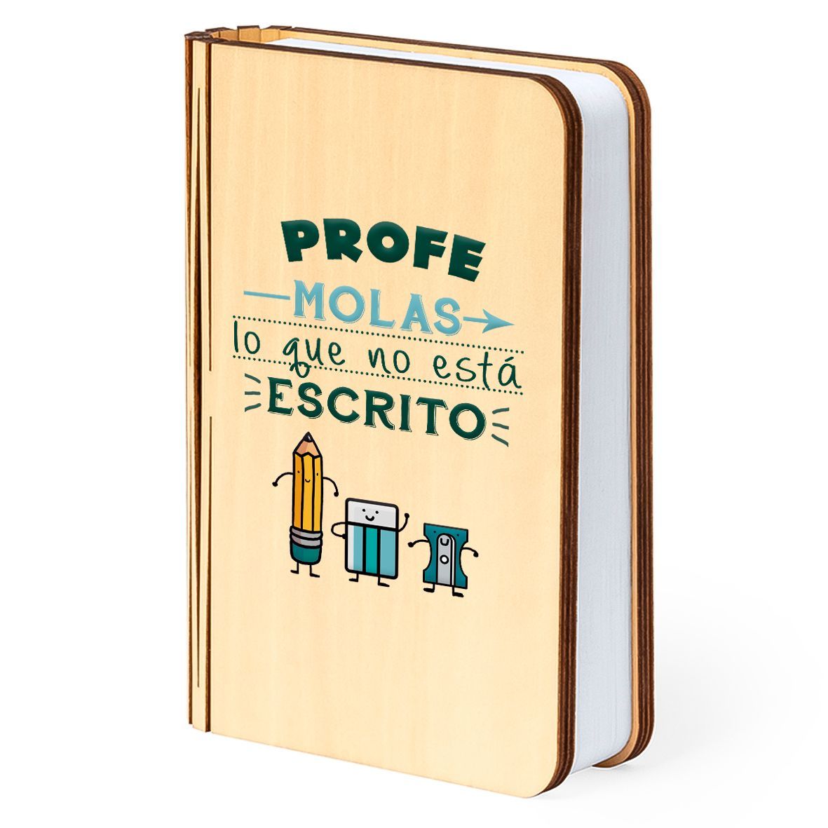 LAMPARA LIBRO PROFE MOLAS