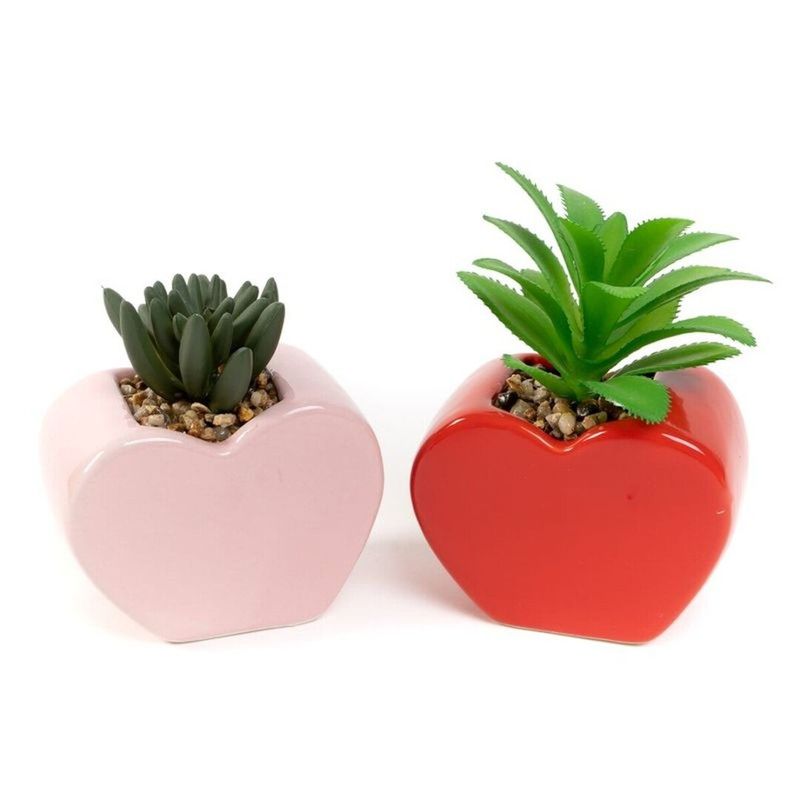 CACTUS EN MACETA CORAZON