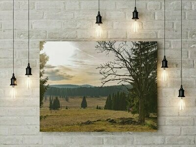 Krušné hory - podzim, foto obraz - 230 motivů, 50 x 30 cm - Stadur deska 5 mm Krušné hory - podzim, foto obraz - 230 motivů, 50 x 30 cm - Stadur deska 5 mm