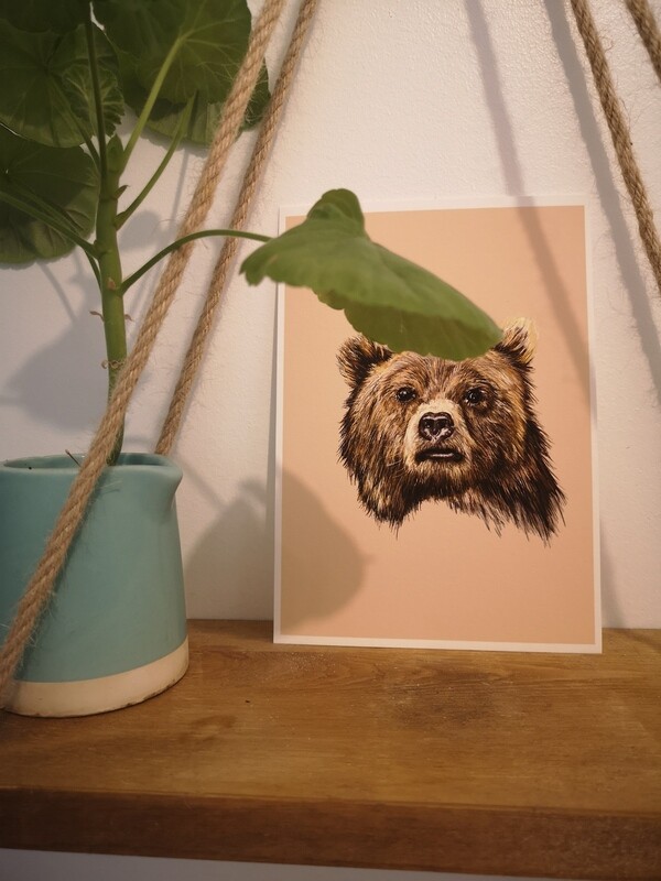 Grizzly Bear   
SALE PRICE £8