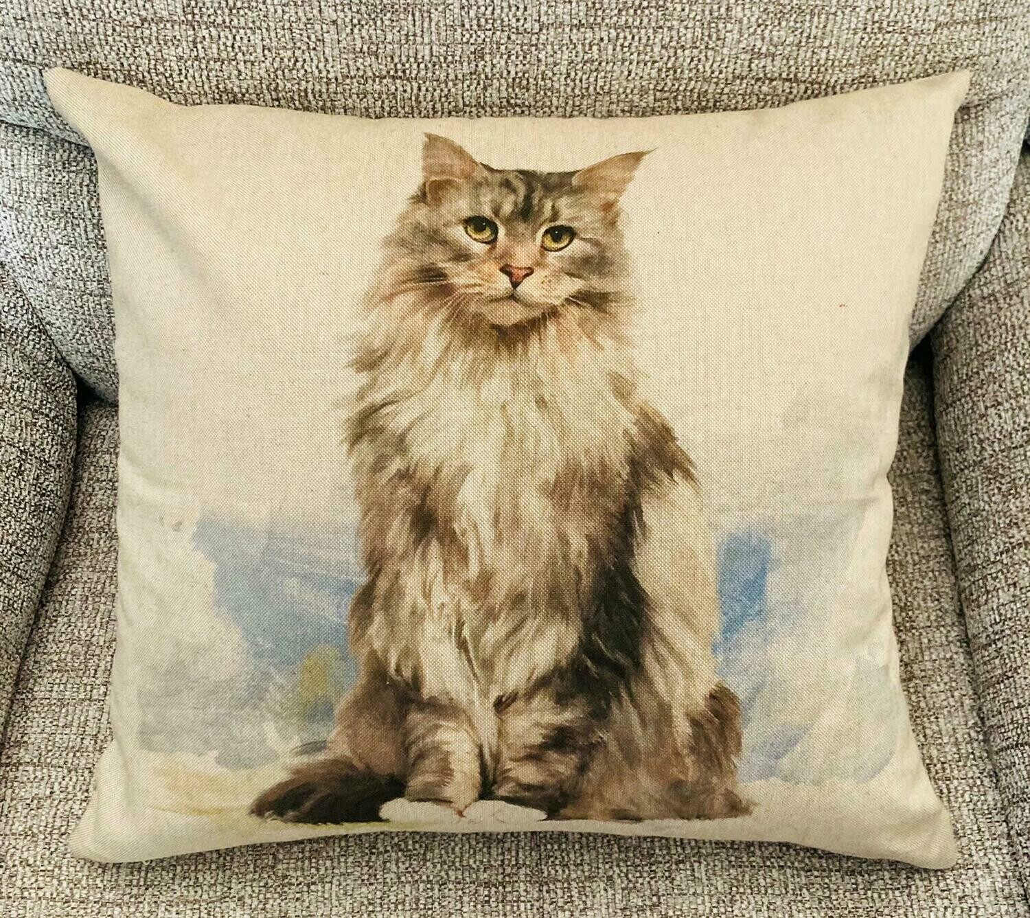 Cat Cushion