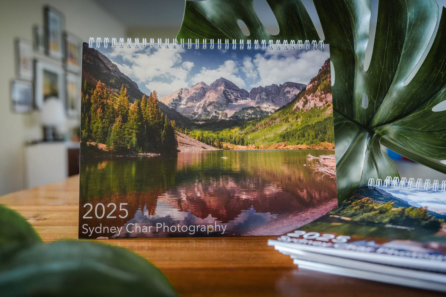 2025 Calendar