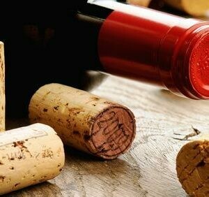 VINS