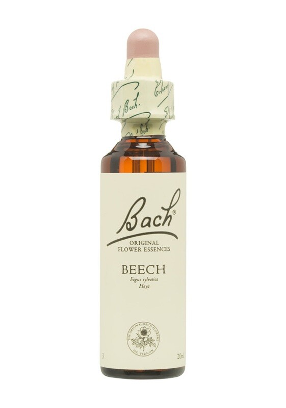 BEECH (HAYA) - INTOLERANCIA - FLORES DE BACH