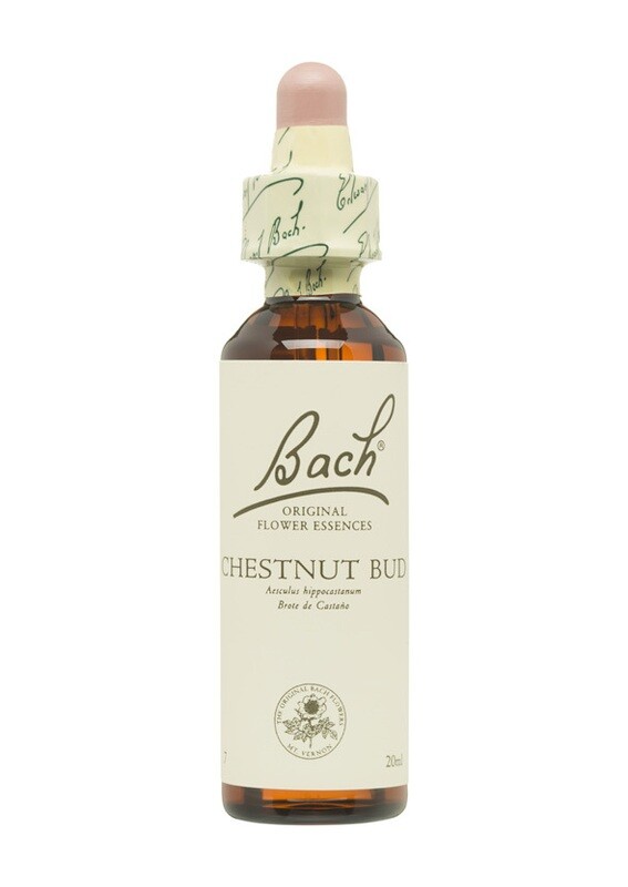 CHESTNUT BUD (BROTE DE CASTAÑO) - FLORES DE BACH