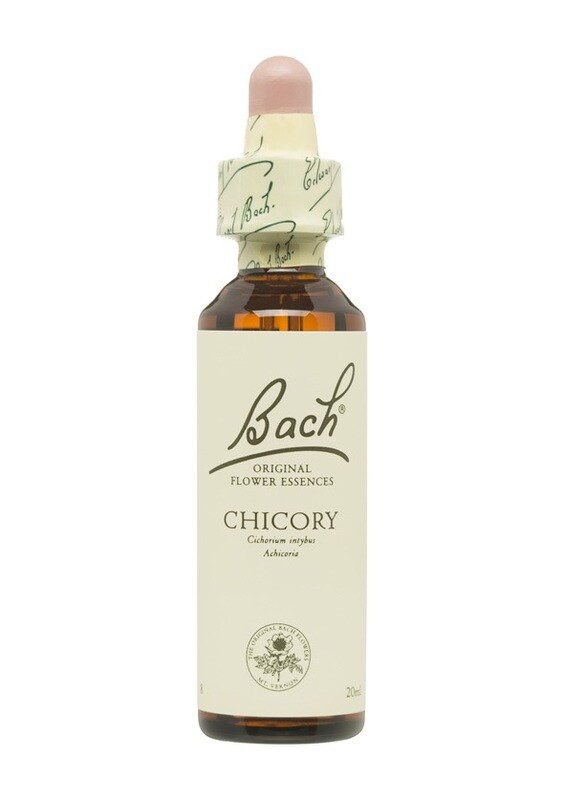 CHICORY ACHICORIA - OBSESION - FLORES DE BACH