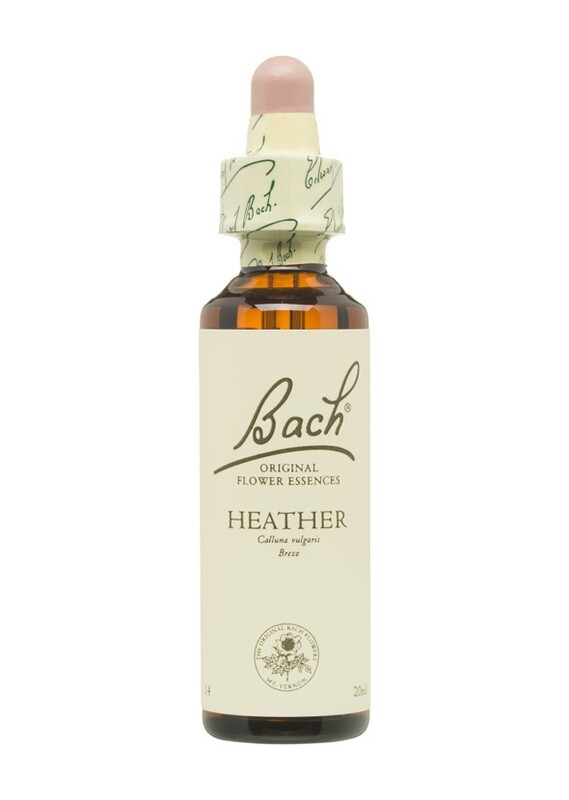 HEATHER (BREZO) - SOLEDAD - FLORES DE BACH