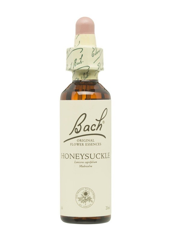 HONEYSUCKLE (MADRESELVA) - FLORES DE BACH