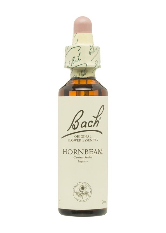 HORNBEAM (HOJARAZO) - INCERTIDUMBRE - FLORES DE BACH