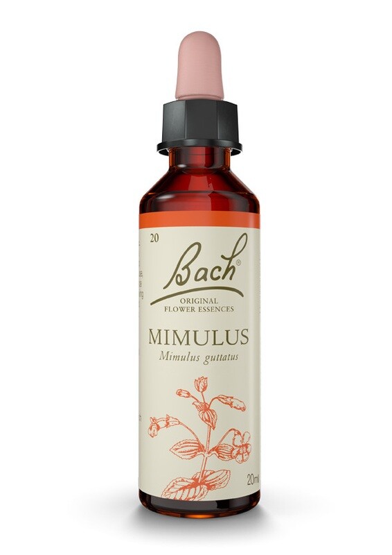 MIMULUS (MÍMULO) - MIEDO - FLORES DE BACH