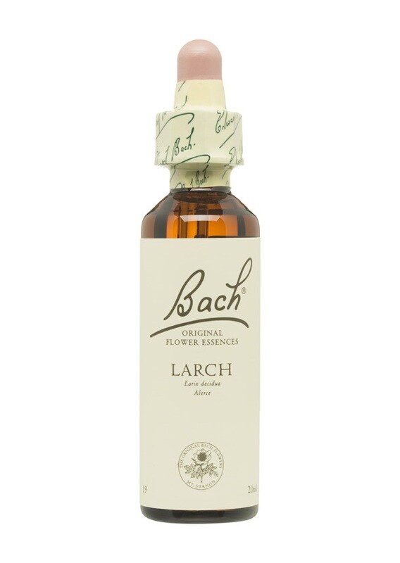 LARCH (ALERCE) - DESALIENTO - FLORES DE BACH