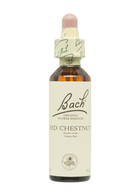 RED CHESTNUT (CASTAÑO ROJO) - MIEDO - FLORES DE BACH