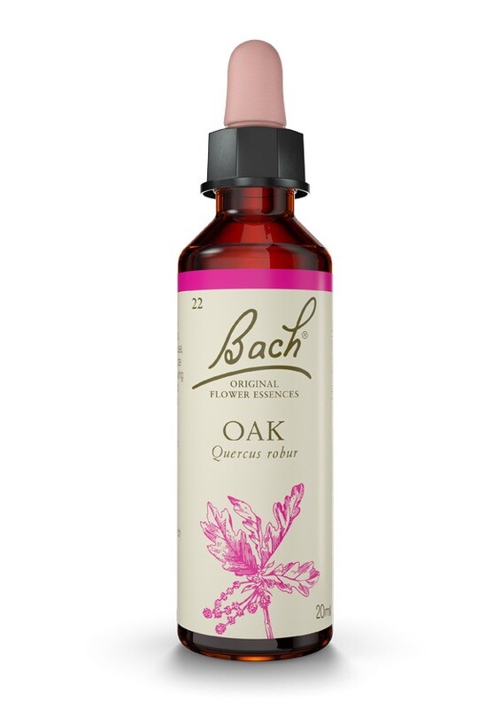OAK (ROBLE) - DESESPERACIÓN - FLORES DE BACH