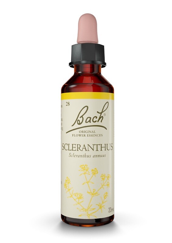 SCLERANTHUS (SCLERANTHUS) - INCERTIDUMBRE - FLORES DE BACH