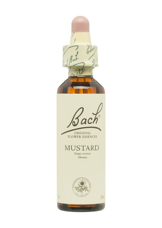 MUSTARD (MOSTAZA) - DEPRESIONES - FLORES DE BACH