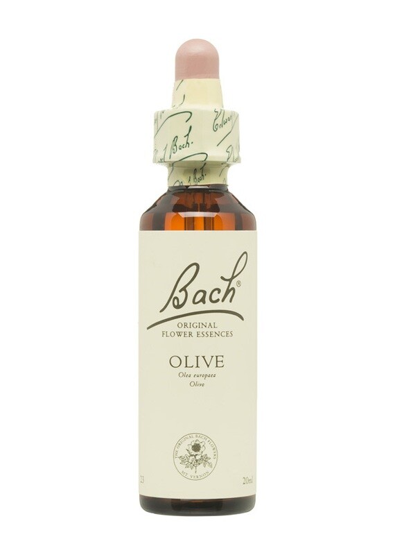 OLIVE (OLIVO) - FLORES DE BACH