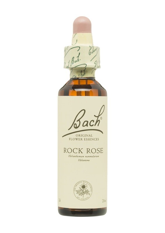 ROCK ROSE (HELIANTEMO) - MIEDO - FLORES DE BACH